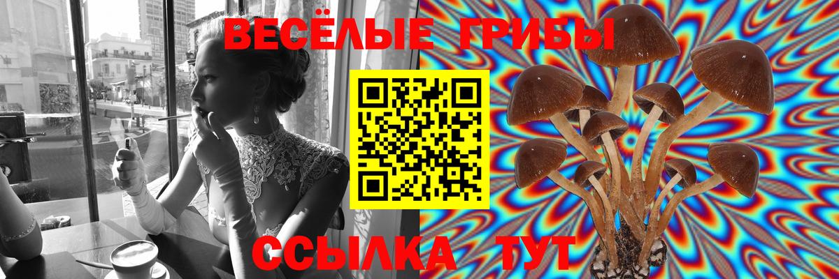 Псилоцибиновые грибы MAGIC MUSHROOMS  Вход с VPN  Галлюциногенные грибы Cubensis  Богородск 